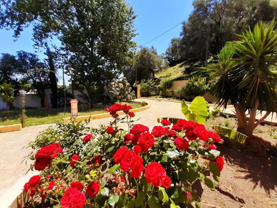 Villa Silvia Ágios Matthaíos Exterior foto